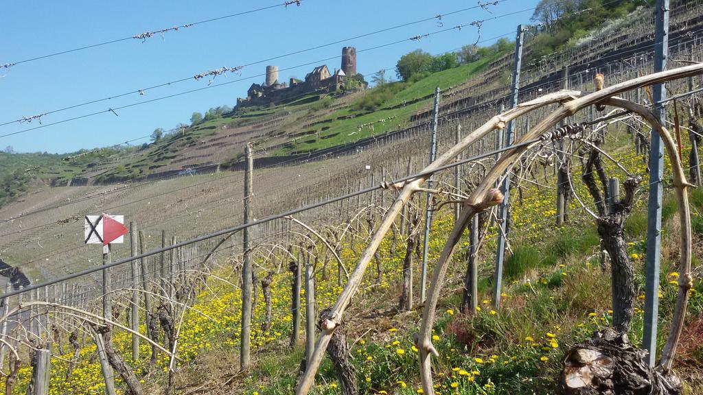 Winzerhof Brachtendorf Alken Esterno foto