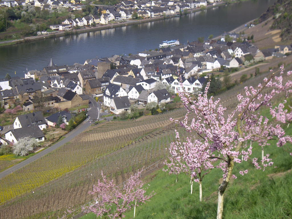 Winzerhof Brachtendorf Alken Esterno foto