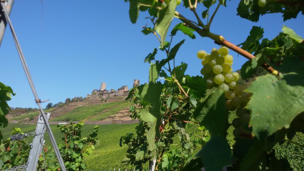Winzerhof Brachtendorf Alken Esterno foto