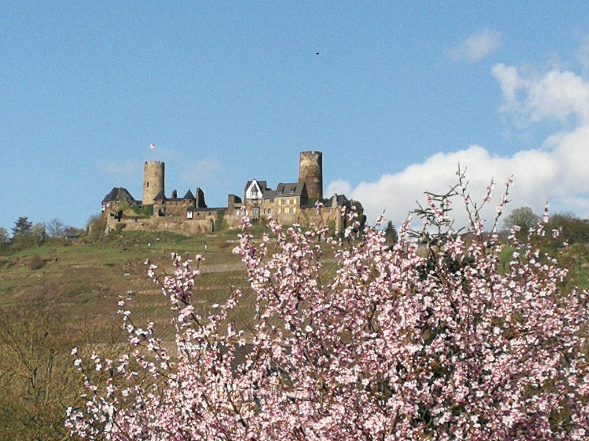 Winzerhof Brachtendorf Alken Esterno foto